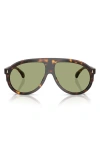 Moncler Fhaite Sunglasses In Dark Tortoise