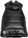 Moncler Genius Padded Button-up Pet Jacket In Black