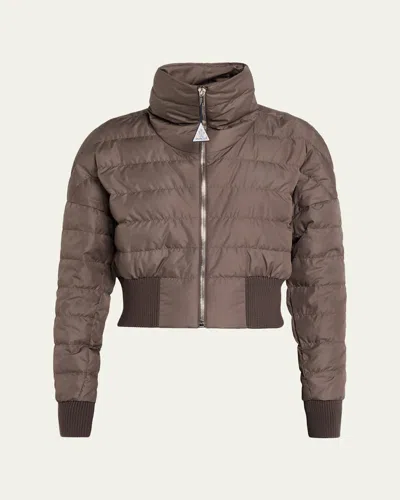 Moncler Genius Funnel Neck Crop Down Jacket In Brown