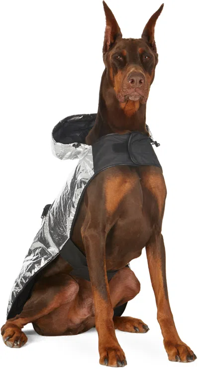 Moncler Genius Silver Poldo Dog Couture Edition Laminated Mondog Cloak Jacket In 900 Silver
