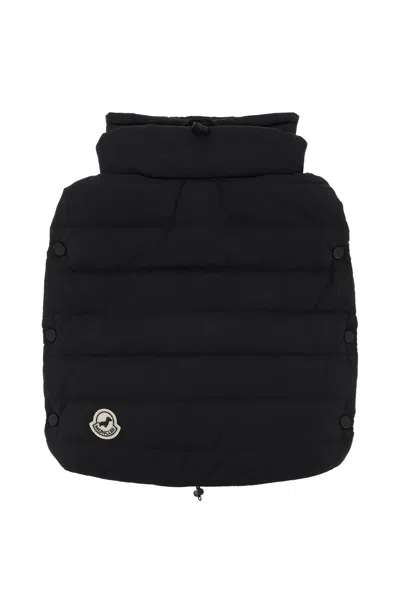 Moncler Genius Water-repellent Dog Vest In Black