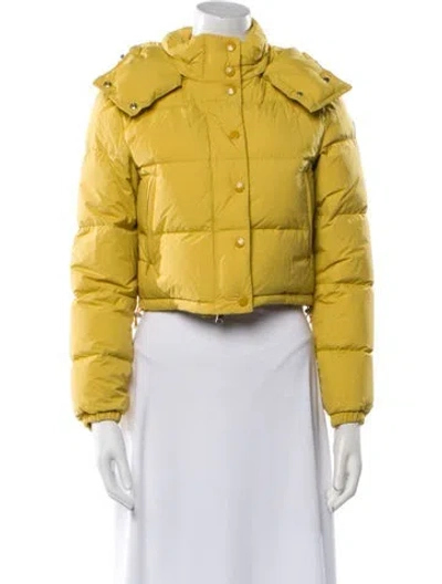 Pre-owned Moncler Goose Down Down Jacket In Yellow