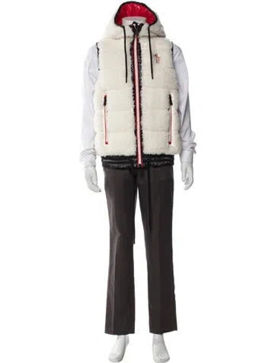 Pre-owned Moncler Goose Down Parka W/ Tags In Neutral