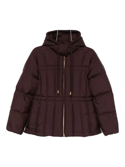 Moncler Hooded Zip-up Jacket In Brown