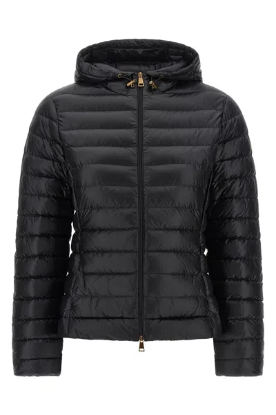 MONCLER 'IGELHOOD' DOWN JACKET