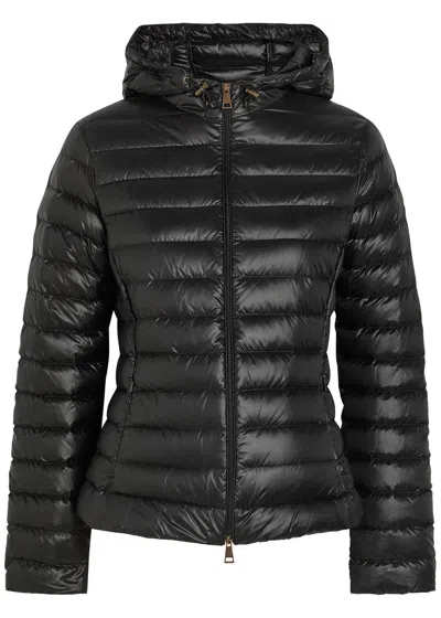Moncler Igelhood Padded Hooded Nylon Jacket In Black