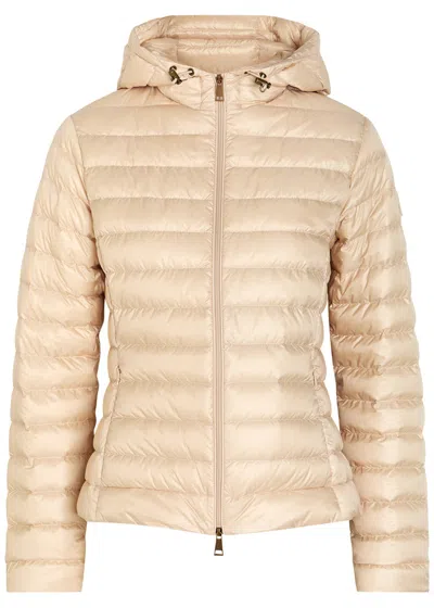 Moncler Igelhood Padded Hooded Nylon Jacket In Nude