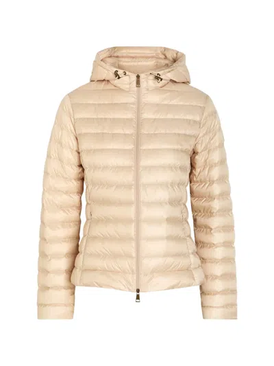 Moncler Igelhood Padded Hooded Nylon Jacket In Nude