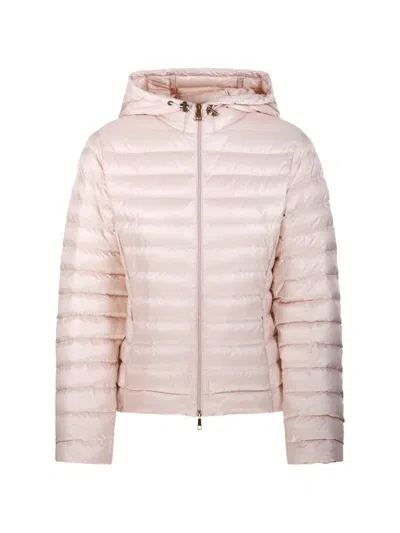Moncler Igelhood Short Down Jacket In Multi