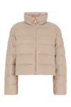 Moncler Leiothrix Cashmere-blend Down Jacket In 50w