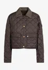Moncler Chitre Cropped Cotton-canvas Trimmed Padded Quilted Shell Jacket In Green