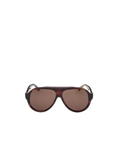 Moncler Logo Sunglasses In Brown