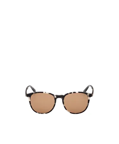Moncler Logo Sunglasses In Nude