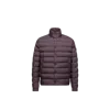 Moncler Doudoune Courte Lyco In Purple