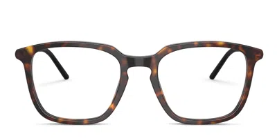 Moncler Me2012 Tortoise In Brown