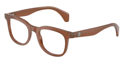 Moncler Me2023 3029 Men's Glasses Brown Size 48 - Free Lenses - Blue Light Block Available