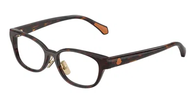 Moncler Me2029d Asian Fit 3002 Men's Glasses Tortoiseshell Size 50 - Free Lenses - Blue Light Block Availabl In Brown