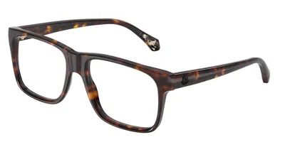 Moncler Me2036 Precisa 3002 Men's Glasses Tortoiseshell Size 56 - Free Lenses - Blue Light Block Available In Brown