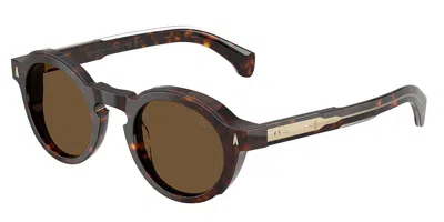 Moncler Me6012 Aurone 300273 Occhiali Da Sole Tartarugatishell Per Uomo In Brown