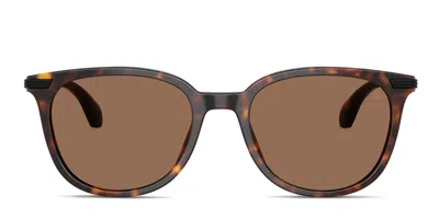 Moncler Me6013 Korra Tortoise/brown In Tortoise,brown