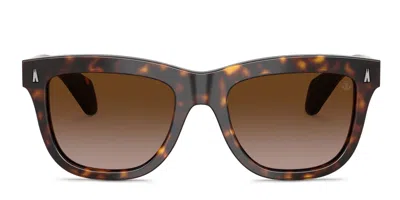Moncler Me6023 Bronzz Tortoise/brown In Tortoise,brown