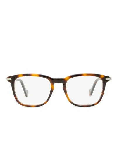 Moncler Ml5045 Glasses In Brown