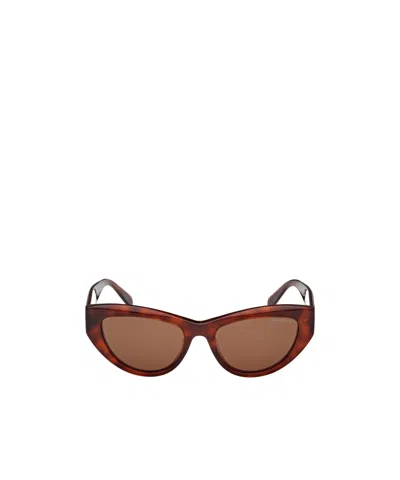 Moncler Modd Cat-eye-frame Sunglasses In Brown