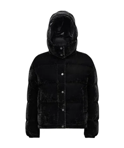 Moncler Monc Daos Pffr Jkt Vlvt Hdd W Tnl Log In Black