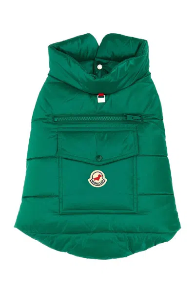 Moncler Extra-accessories In Green