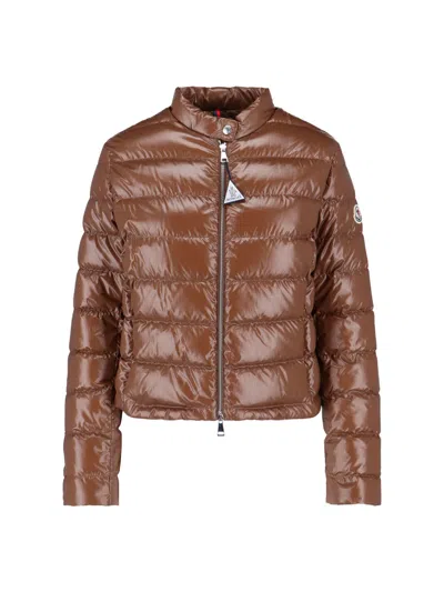 Moncler Padded Down Jacket "papillon" In Brown