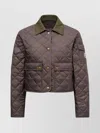 Moncler Chitre Cropped Cotton-canvas Trimmed Padded Quilted Shell Jacket