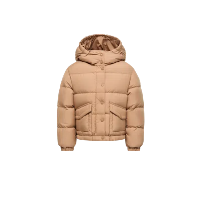 Moncler Kids' Phelanta Hooded Down Jacket, Girls, Beige, Size: 10y In Neutral