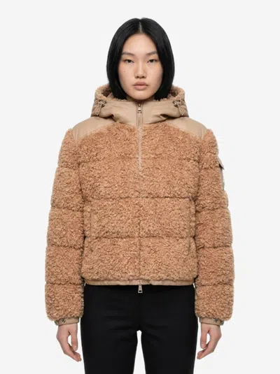 Moncler Piumino Corto Alpestre In Teddy In Brown