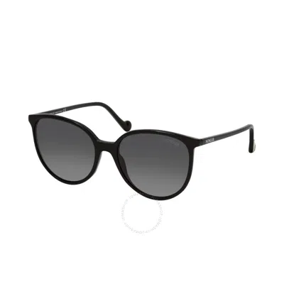 Moncler Polarized Smoke Cat Eye Ladies Sunglasses Ml0177 01d 56 In Black