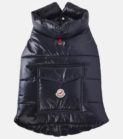 Moncler Poldo Dog Couture Dog Coat