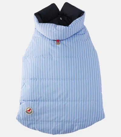 Moncler Poldo Dog Couture Striped Dog Coat