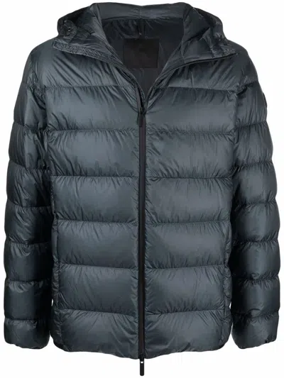 Moncler Provins Jacket In Animal Print