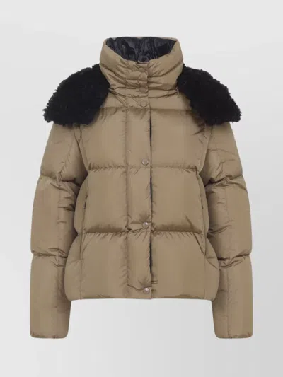Moncler Puffer High Collar Zippered Contrast Shoulder In Brown