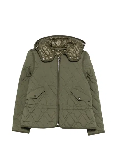 Moncler Quilted Hooded Jacket In Green