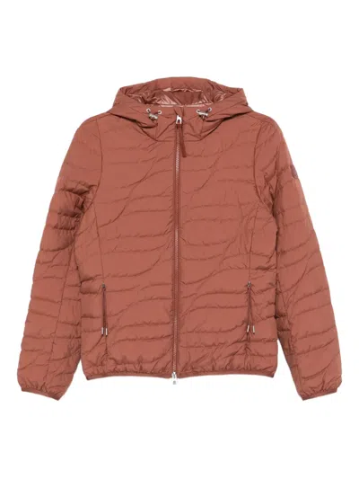 Moncler Quilted Puffer Jacket In Brown