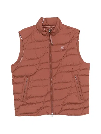 Moncler Quilted Zip Gilet In Brown