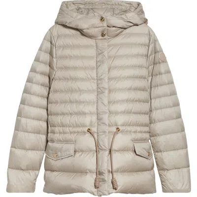 Moncler Raies Quilted Down Puffer Jacket In Neutral