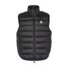 Moncler Puffer Sleeveless High Collar Vest