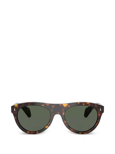 Moncler Shiny Havana Round Sunglasses In Brown