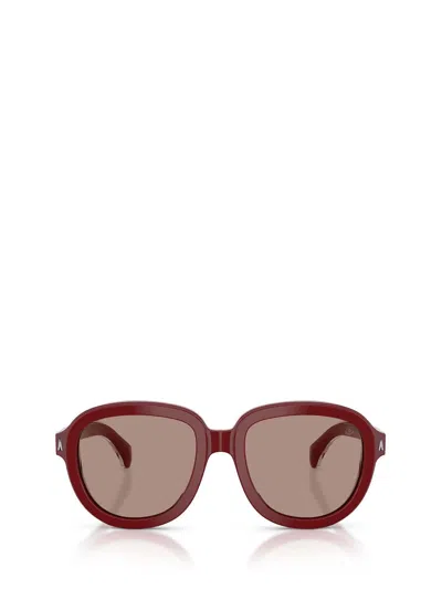 Moncler Sunglasses In Brown