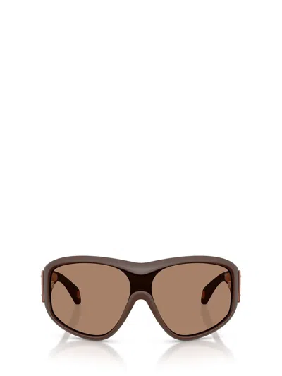 Moncler Sunglasses In Brown