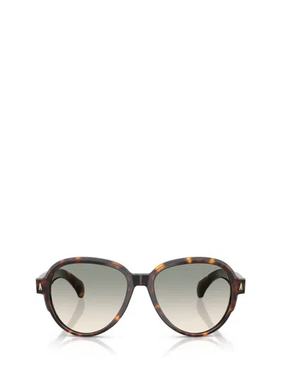 Moncler Sunglasses In Brown