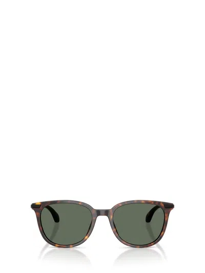 Moncler Sunglasses In Brown