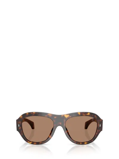 Moncler Sunglasses In Brown