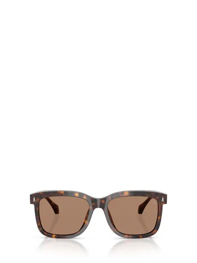 Moncler Sunglasses In Brown